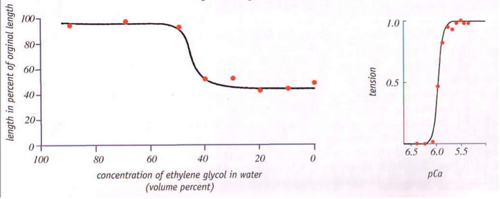 etilenoglicol-dr-jose-nasser-aquera