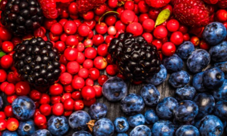 resveratrol-dr-jose-nasser-aquera-site