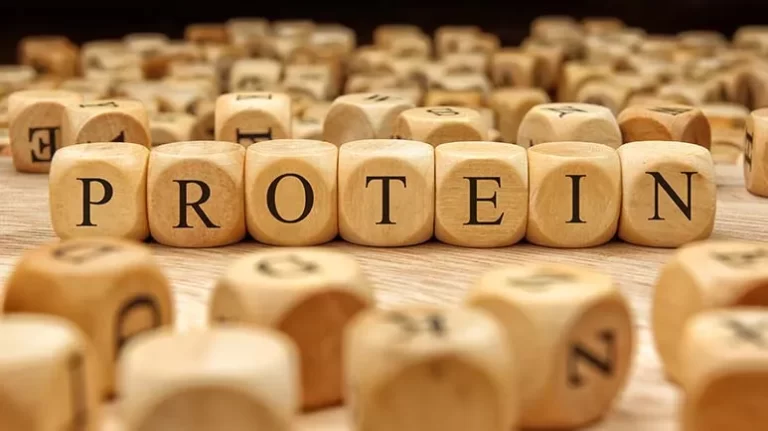 guias-de-proteinas-dr-jose-nasser-aquera
