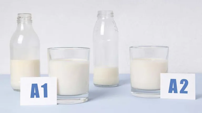 caseina-dr-jose-nasser-aquera