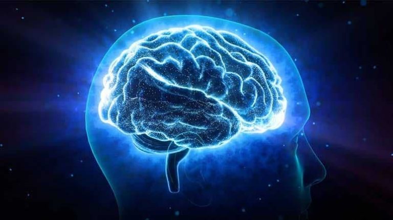 cerebro-felicidade-dr-jose-nasser-aquera