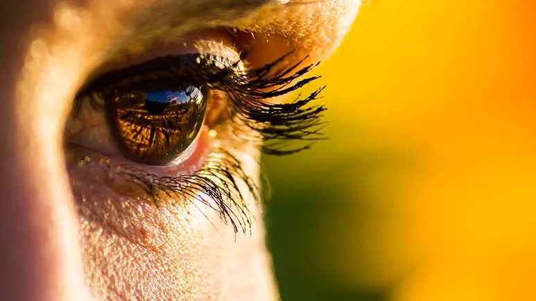 luz-do-sol e miopia-dr-jose-nasser-aquera