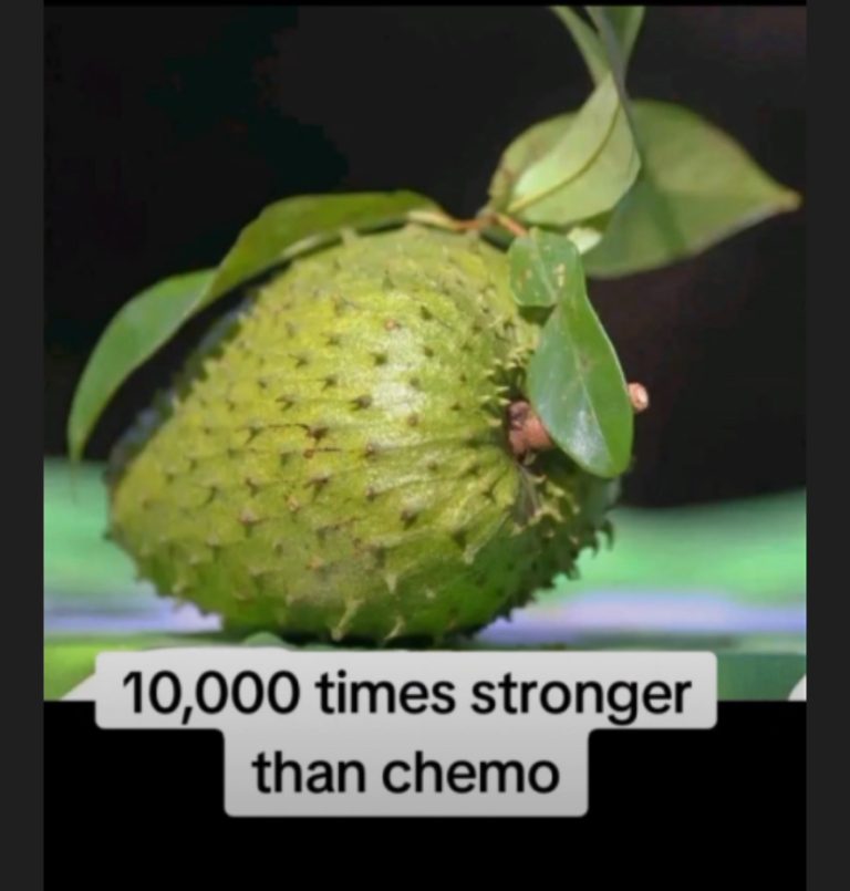 graviola-drjose-nasser-aquera